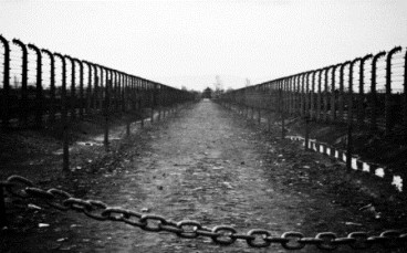 Giornata della memoria, poesie e disegni dei bambini di Terezin