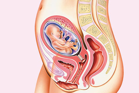 La guida della gravidanza: 21esima settimana