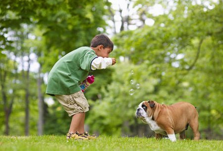 bambino e cane che giocano