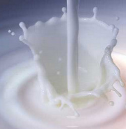 Bere latte in gravidanza riduce rischi di sclerosi multipla nel bebè