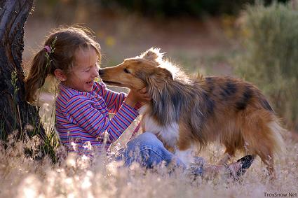 Cani, alleati naturali contro le allergie del bambino