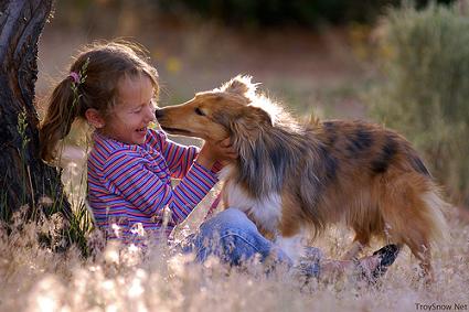 CANI, BAMBINI 