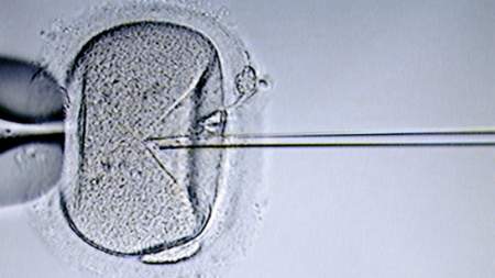 Fecondazione in vitro, nuovo test verifica la salute degli embrioni