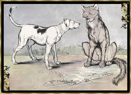 Il lupo e il cane