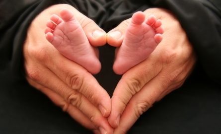 Il cuore dei neonati può "curarsi" ricrescendo