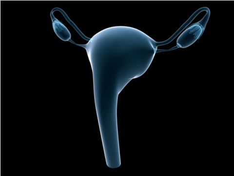 Le cisti ovariche funzionali