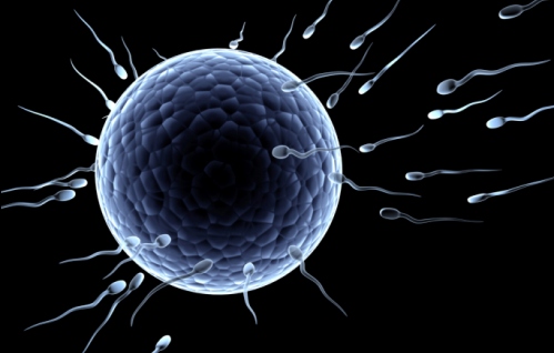 fecondazione assistita infertilità