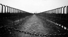 giornata della memoria