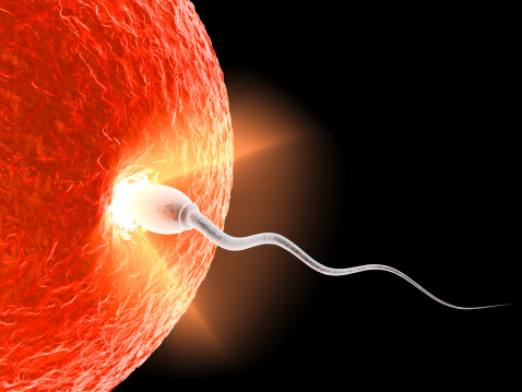 infertilità-uomo