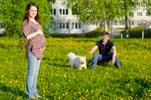 Stare a contatto con il cane in gravidanza aiuta a mantenere il peso
