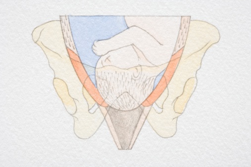 placenta posteriore