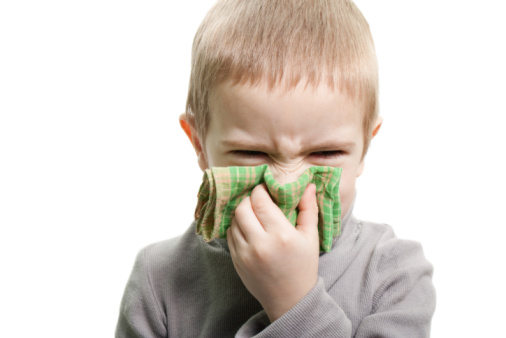 Nuova allergia bambini Ambrosia