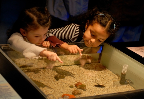 Ferragosto bambini Museo Archeologico Salerno