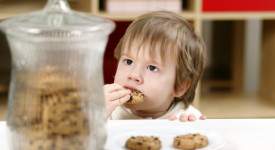bambino mangia biscotti