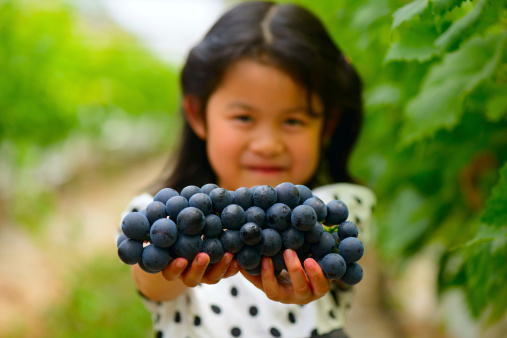 Vendemmia bambini appuntamenti