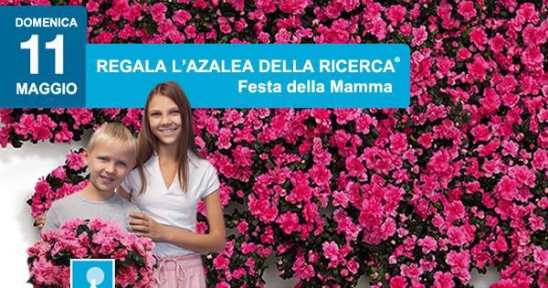 Festa della mamma 2014 con l'Airc, l'Azalea per Ricerca compie 30 anni
