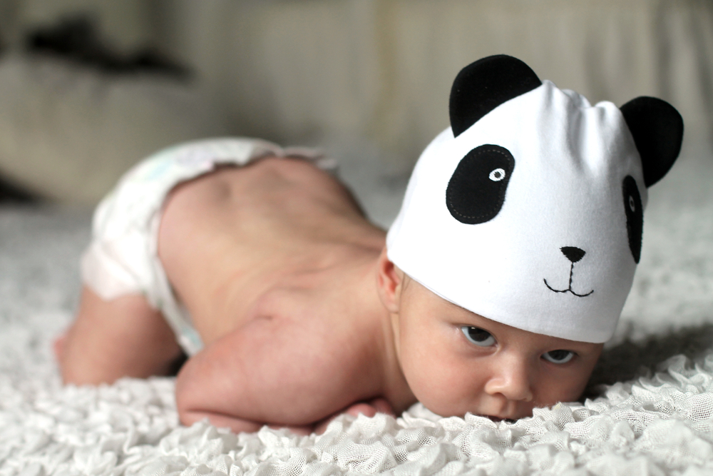 Cappellino panda