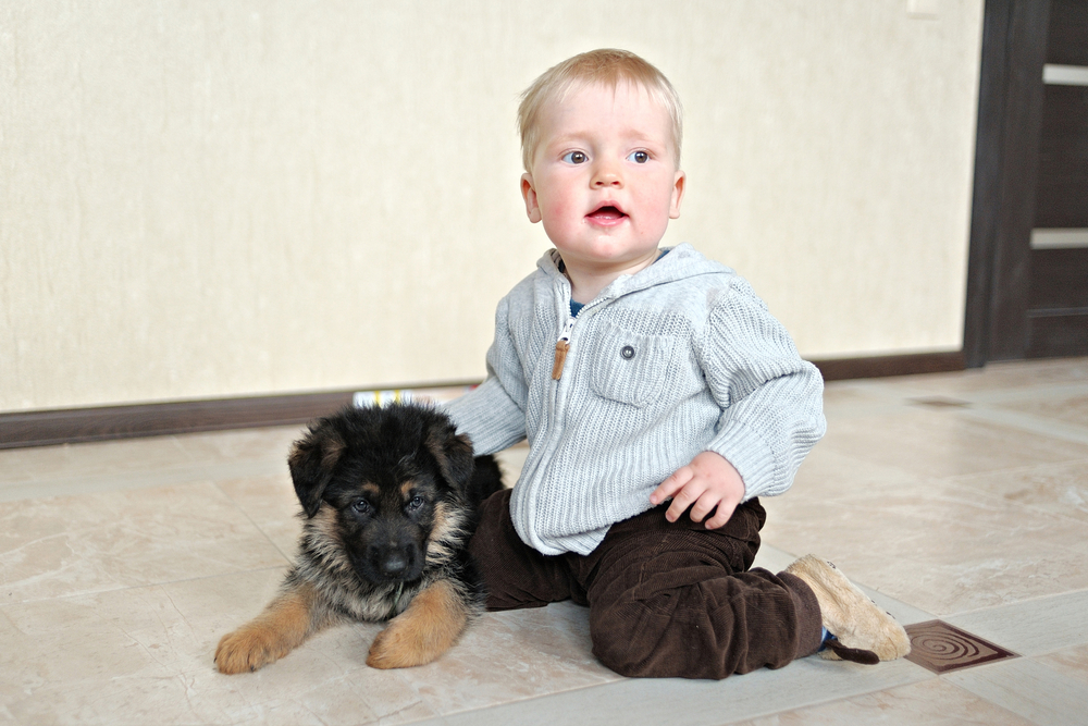 Bimbo con cucciolo di cane