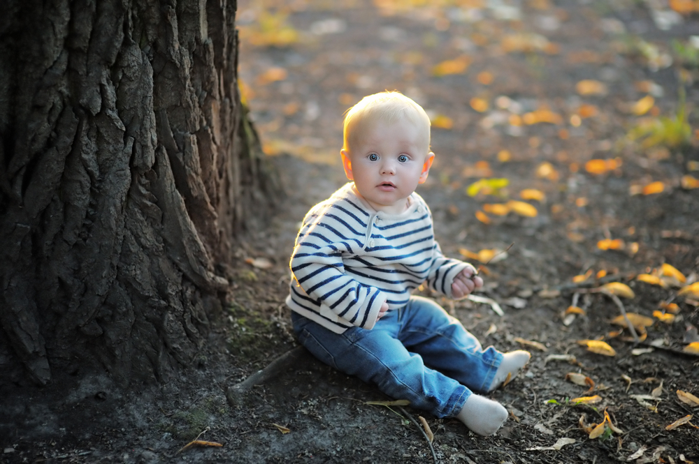 Bimbo albero autunno