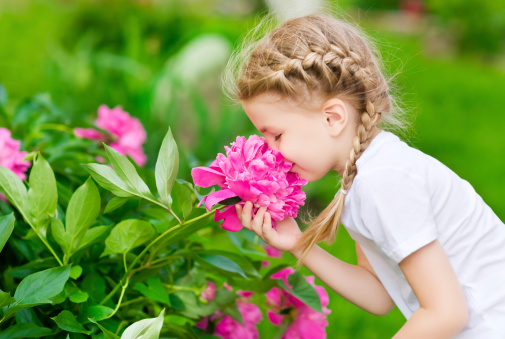 giardino piccoli attenzione piante velenose