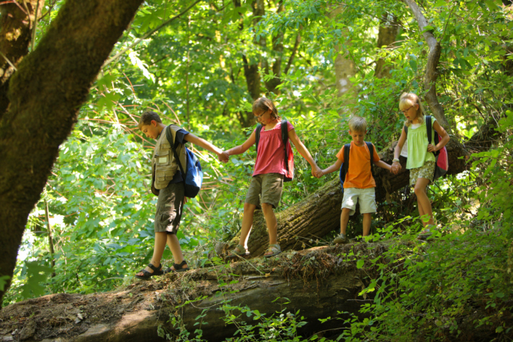 gita, Ragazzi in gita nel bosco