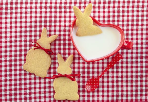 biscotti a forma di coniglietto