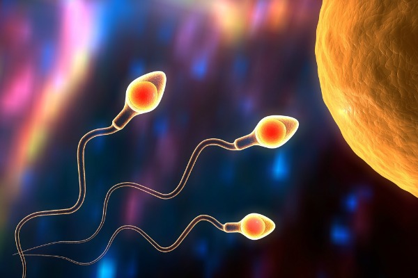 Infertilità, nuovo test per individuare gli spermatozoi migliori