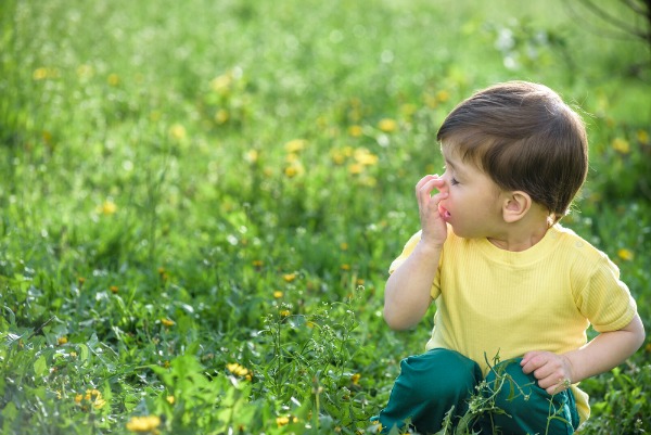 Allergie dei bambini, le regole da seguire