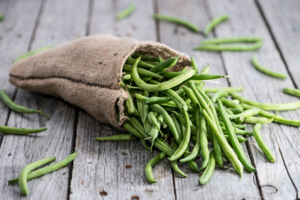 Polpettone di patate e fagiolini per il pranzo dei bambini