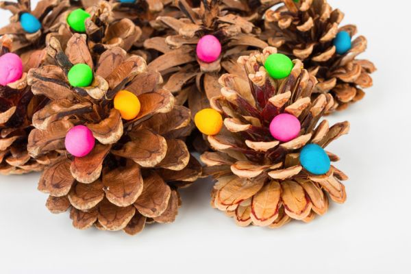 Pine cone and plasticine. Stock image macro.