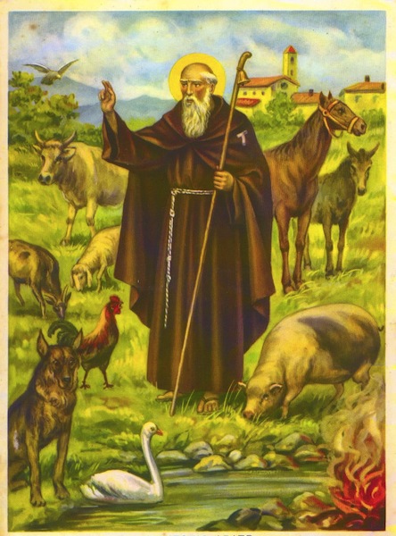 sant'antonio abate, animali,