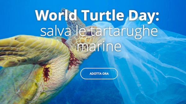 Giornata Mondiale delle tartarughe marine, come adottare una tartaruga