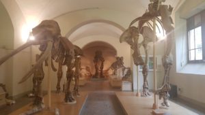 musei online visitare