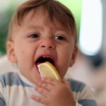 limone bambino