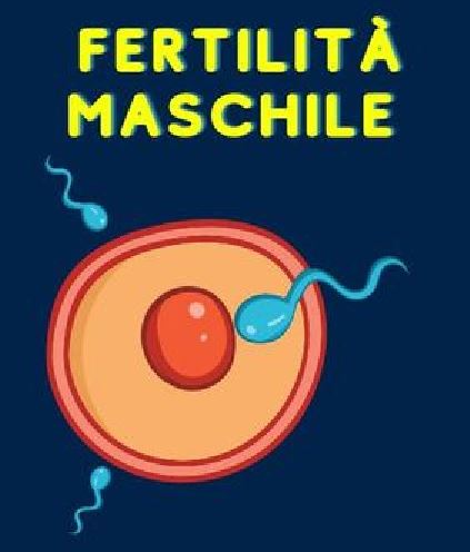 fertilità maschile